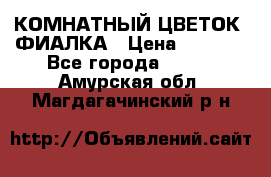 КОМНАТНЫЙ ЦВЕТОК -ФИАЛКА › Цена ­ 1 500 - Все города  »    . Амурская обл.,Магдагачинский р-н